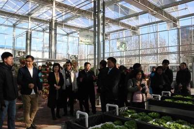 國際合作丨泰國職業(yè)教育代表團與唐山職院開展合作交流